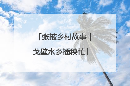 张掖乡村故事｜戈壁水乡插秧忙