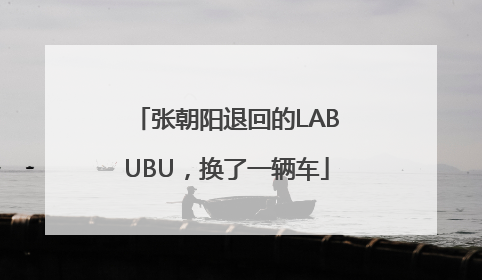 张朝阳退回的LABUBU，换了一辆车