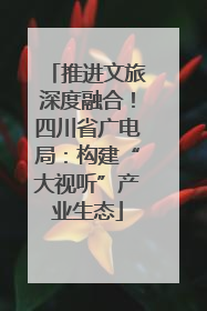 推进文旅深度融合！四川省广电局：构建“大视听”产业生态
