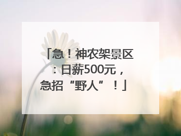 急！神农架景区：日薪500元，急招“野人”！