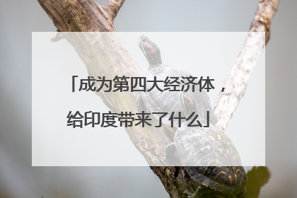 成为第四大经济体，给印度带来了什么
