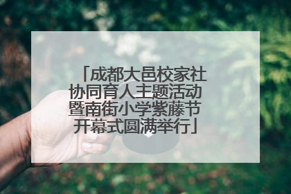 成都大邑校家社协同育人主题活动暨南街小学紫藤节开幕式圆满举行