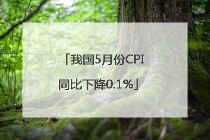 我国5月份CPI同比下降0.1%