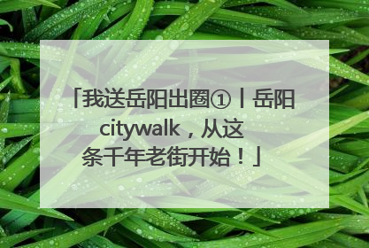 我送岳阳出圈①丨岳阳citywalk，从这条千年老街开始！