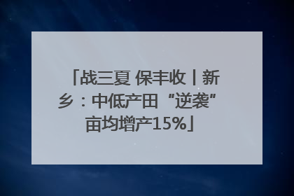 战三夏 保丰收丨新乡：中低产田“逆袭” 亩均增产15%