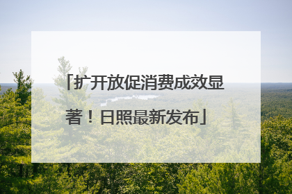 扩开放促消费成效显著！日照最新发布