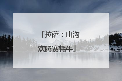 拉萨：山沟欢腾赛牦牛