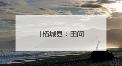 柘城县：田间管理送地头 抗旱保苗保丰收