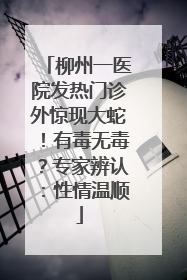 柳州一医院发热门诊外惊现大蛇！有毒无毒？专家辨认：性情温顺