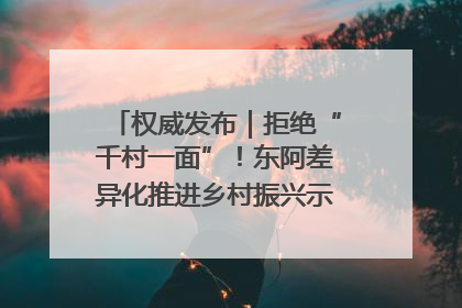 权威发布｜拒绝“千村一面”！东阿差异化推进乡村振兴示范片区建设