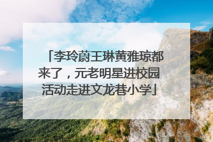 李玲蔚王琳黄雅琼都来了，元老明星进校园活动走进文龙巷小学