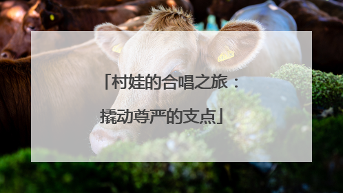 村娃的合唱之旅：撬动尊严的支点