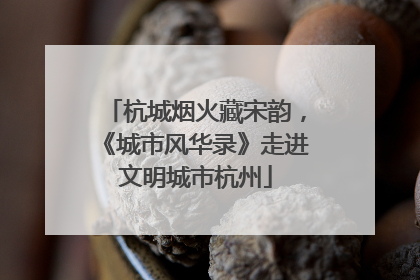 杭城烟火藏宋韵，《城市风华录》走进文明城市杭州