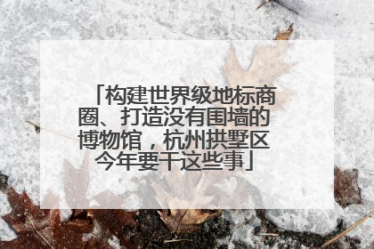 构建世界级地标商圈、打造没有围墙的博物馆，杭州拱墅区今年要干这些事