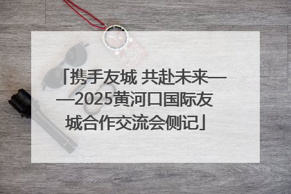 携手友城 共赴未来——2025黄河口国际友城合作交流会侧记