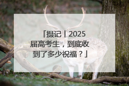 摄记丨2025届高考生，到底收到了多少祝福？