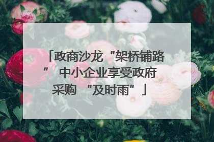 政商沙龙“架桥铺路” 中小企业享受政府采购 “及时雨”