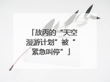 敖丙的“天空漫游计划”被“紧急叫停”
