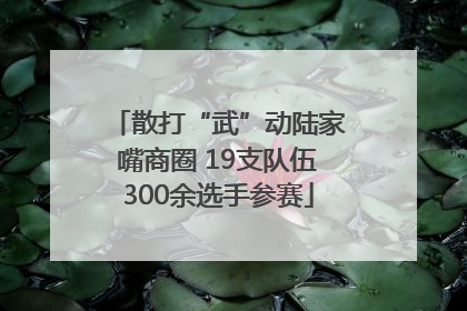 散打“武”动陆家嘴商圈 19支队伍300余选手参赛