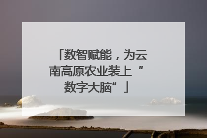数智赋能，为云南高原农业装上“数字大脑”