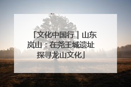 文化中国行｜山东岚山：在尧王城遗址探寻龙山文化