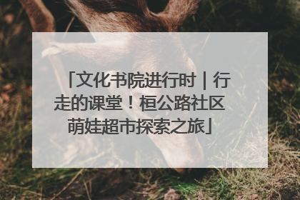 文化书院进行时｜行走的课堂！桓公路社区萌娃超市探索之旅