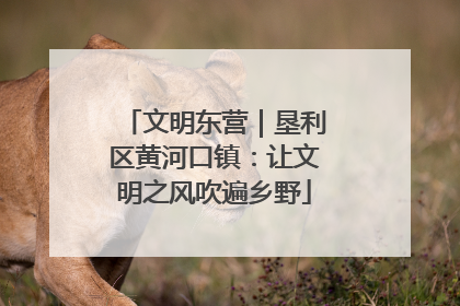 文明东营｜垦利区黄河口镇：让文明之风吹遍乡野