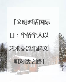 文明对话国际日：华侨华人以艺术交流串起文明对话之路