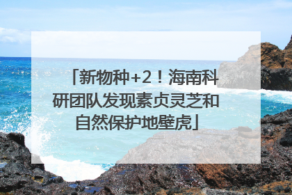 新物种+2！海南科研团队发现素贞灵芝和自然保护地壁虎