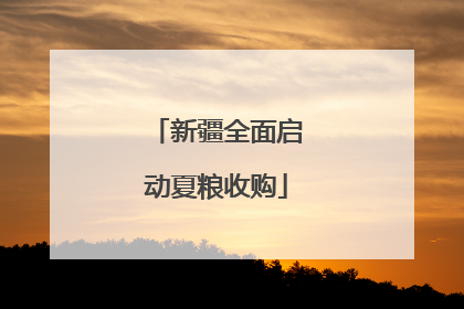 新疆全面启动夏粮收购