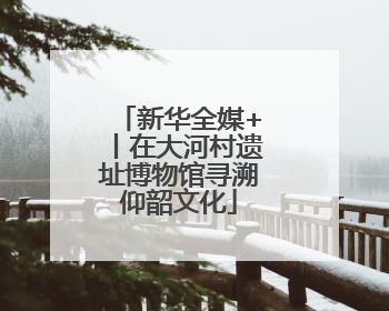新华全媒+丨在大河村遗址博物馆寻溯仰韶文化