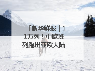 新华鲜报｜11万列！中欧班列跑出亚欧大陆“新时速”