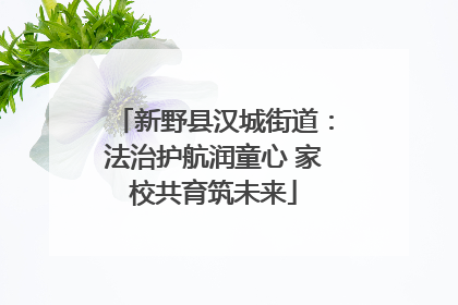 新野县汉城街道：法治护航润童心 家校共育筑未来