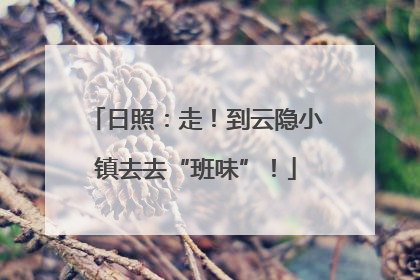 日照：走！到云隐小镇去去“班味”！