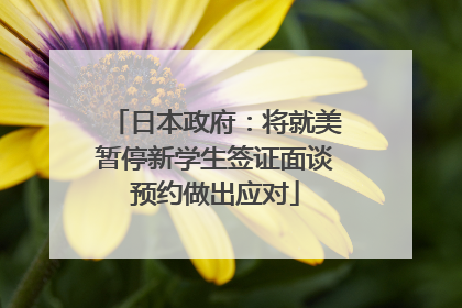 日本政府：将就美暂停新学生签证面谈预约做出应对