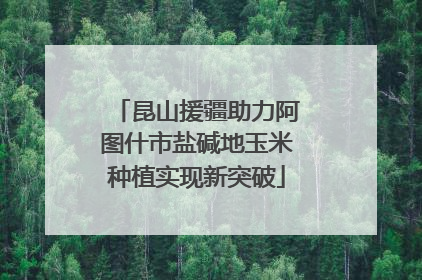 昆山援疆助力阿图什市盐碱地玉米种植实现新突破