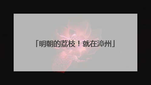 明朝的荔枝！就在漳州