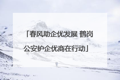 春风助企优发展 鹤岗公安护企优商在行动
