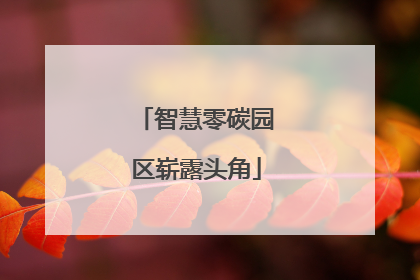 智慧零碳园区崭露头角