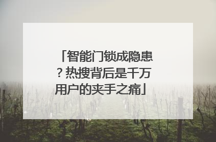 智能门锁成隐患？热搜背后是千万用户的夹手之痛