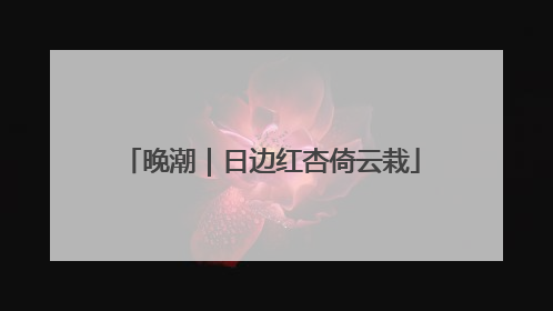 晚潮｜日边红杏倚云栽