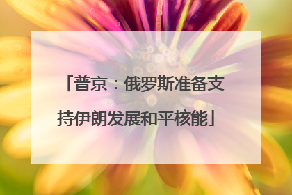 普京：俄罗斯准备支持伊朗发展和平核能
