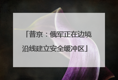 普京：俄军正在边境沿线建立安全缓冲区