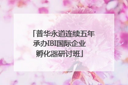 普华永道连续五年承办IBI国际企业孵化器研讨班