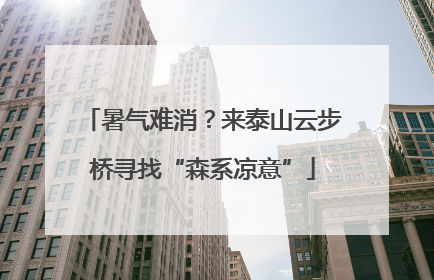 暑气难消？来泰山云步桥寻找“森系凉意”