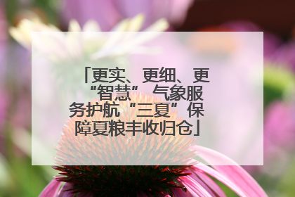 更实、更细、更“智慧” 气象服务护航“三夏”保障夏粮丰收归仓