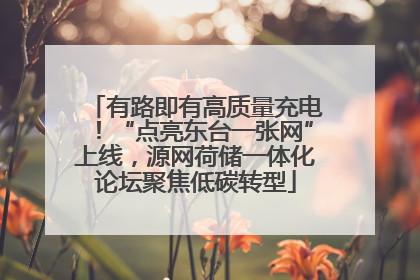 有路即有高质量充电！“点亮东台一张网”上线，源网荷储一体化论坛聚焦低碳转型