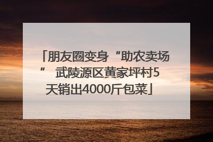 朋友圈变身“助农卖场” 武陵源区黄家坪村5天销出4000斤包菜