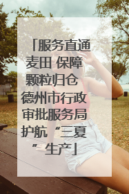 服务直通麦田 保障颗粒归仓 德州市行政审批服务局护航“三夏”生产