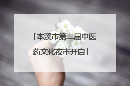 本溪市第二届中医药文化夜市开启